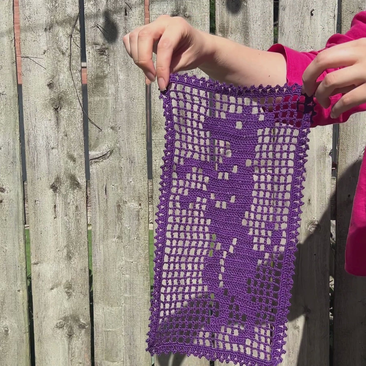 Begging Dog Filet Crochet Chart