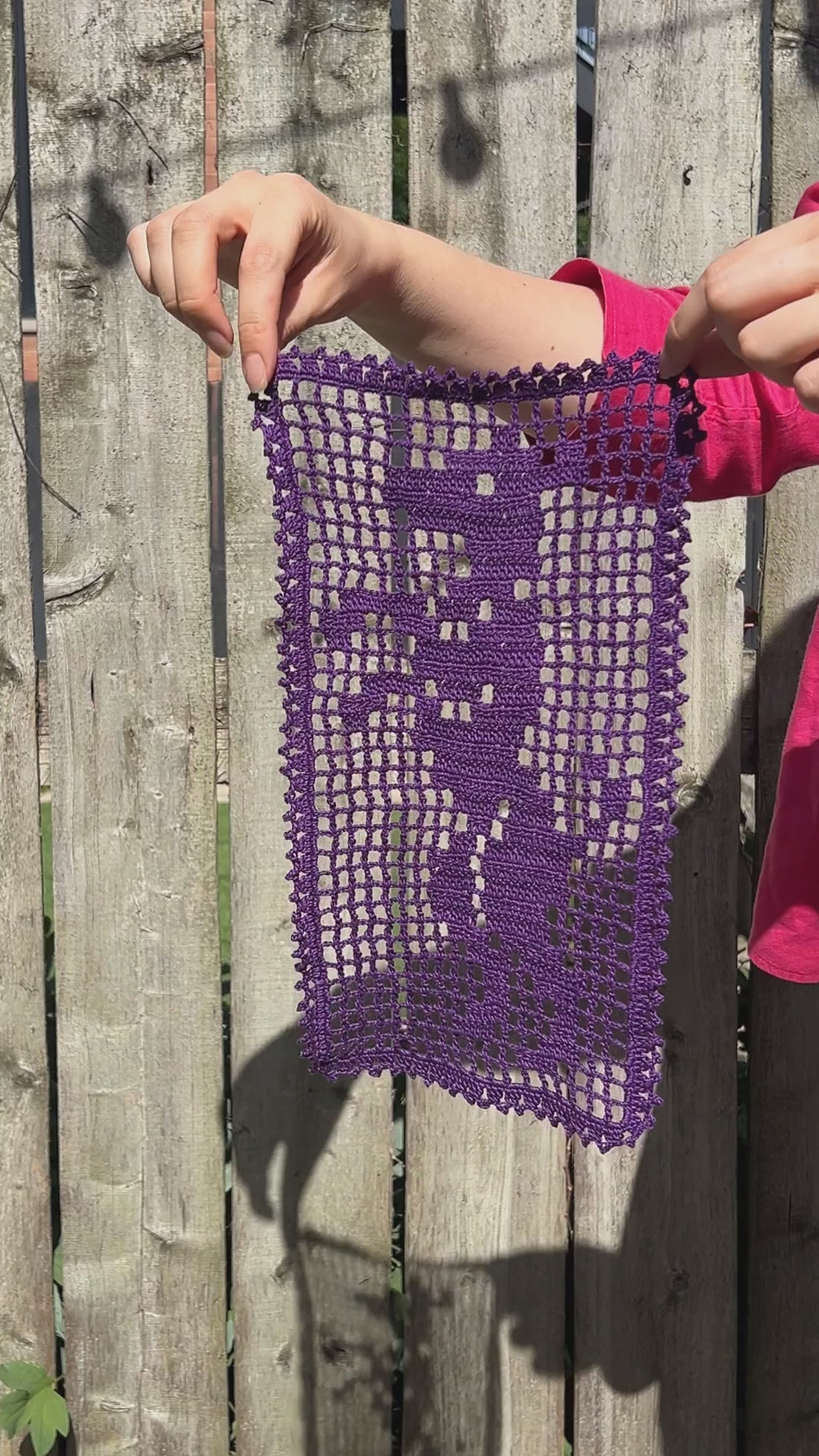 Begging Dog Filet Crochet Chart